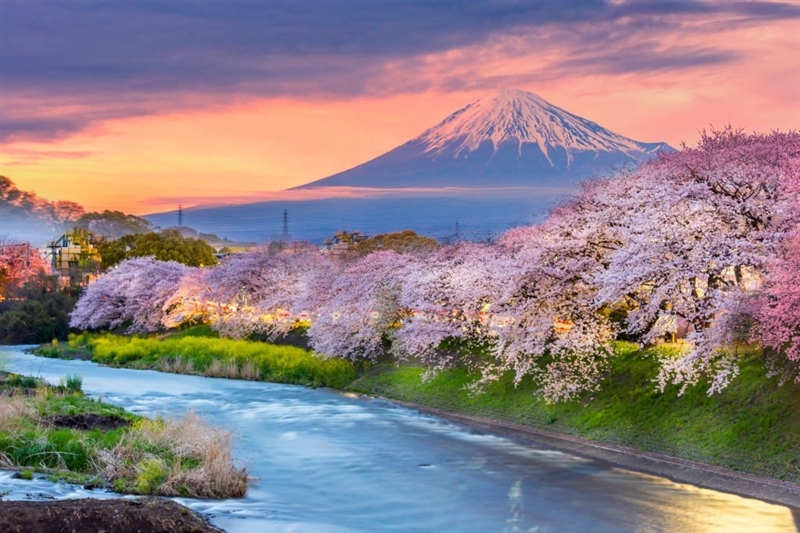 Nhật Bản 12 mùa hoa - Du lịch Nhật Bản