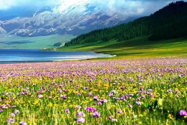 Hành trình khám phá Bắc Tân Cương 8N7D: Urumqi – Kanas – Hemu – Yining