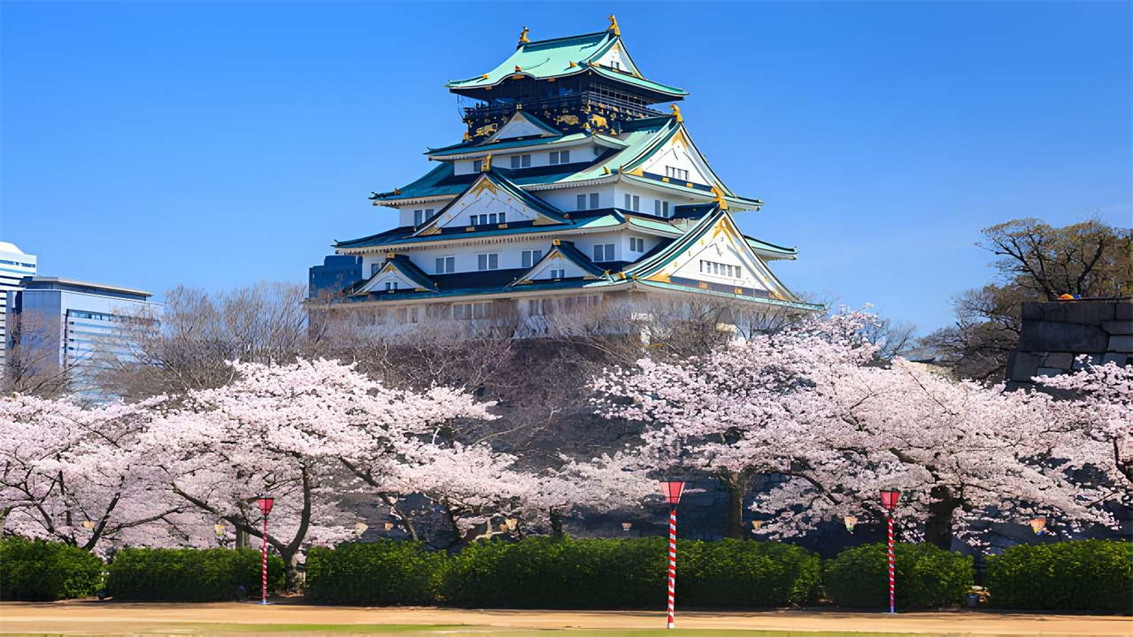 Du lịch Nhật Bản mùa hoa anh đào: Tokyo - Núi Phú Sỹ - Nagoya - Kyoto - Osaka