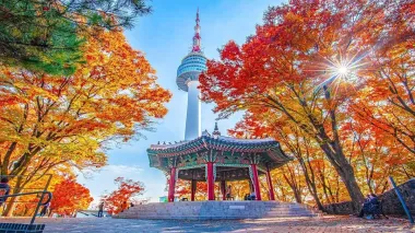 Du lịch Hàn Quốc mùa hè: Hà Nội - Seoul - Nami - Everland - Painter Show - Thư viện sách