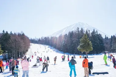 Tour Nhật Bản Tết Nguyên Đán 2026: Hà Nội - Tokyo - Phú Sĩ - Kyoto - Osaka