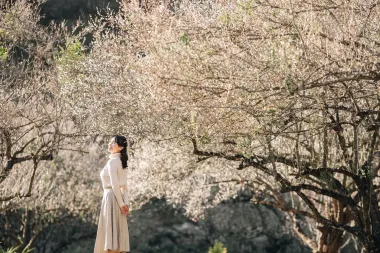 Tour Mộc Châu: Đèo Đá Trắng - Thác Chiềng Khoa - Hang Táu