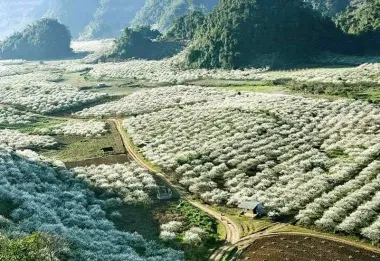 Tour Mộc Châu: Đèo Đá Trắng - Thác Chiềng Khoa - Hang Táu