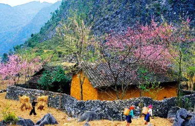 Tour du lịch Hà Giang: Quản Bạ - Yên Minh - Lũng Cú - Đồng Văn 3N2Đ