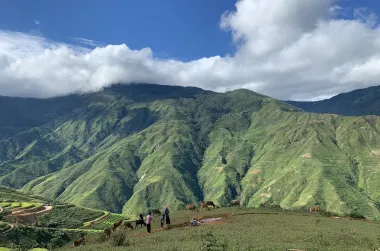 Tour Săn mây Tà Xùa - Thảo Nguyên - Đỉnh Gió 2N1Đ