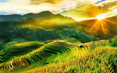 Tour Mù Cang Chải - Sapa mùa lúa chín 3N2Đ