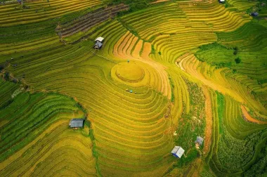 Tour Mù Cang Chải - Sapa mùa lúa chín 3N2Đ
