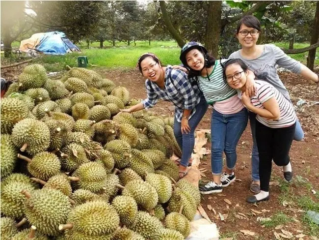 miệt vườn tr&aacute;i c&acirc;y miền T&acirc;y