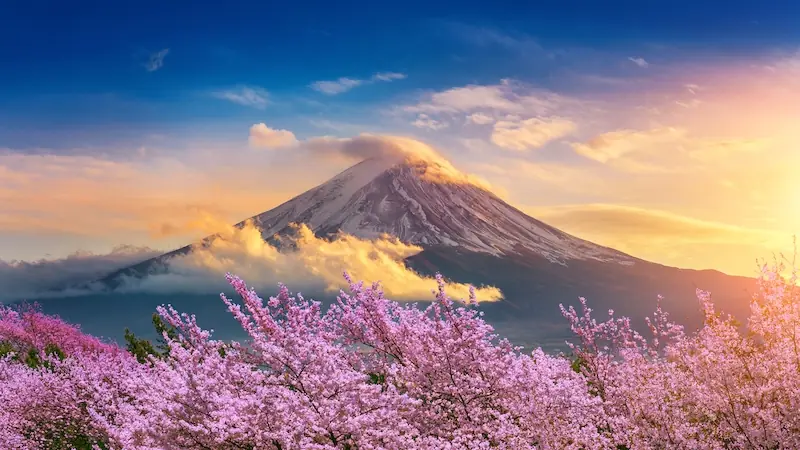 Tour Nhật Bản Tết Nguyên Đán 2026: Hà Nội - Tokyo - Phú Sĩ - Kyoto - Osaka
