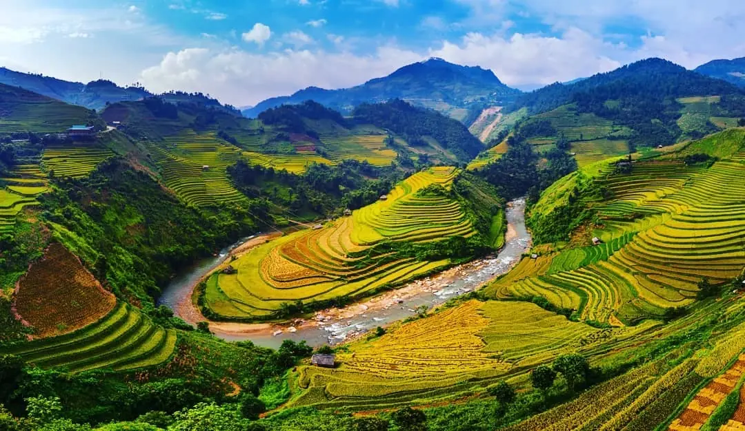 Tour Hà Nội - Mù Cang Chải mùa lúa chín 2N1Đ